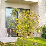 Palaia فندق