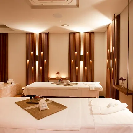 Palaia Hotell