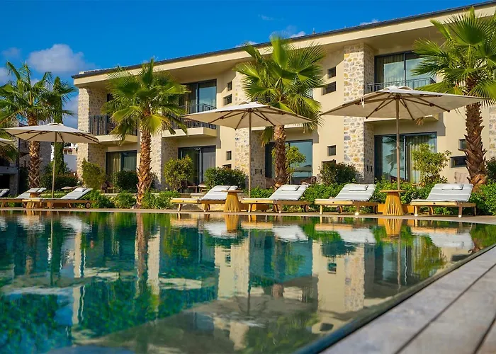 Palaia Hotell *