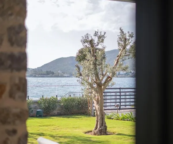 Palaia Hotell
