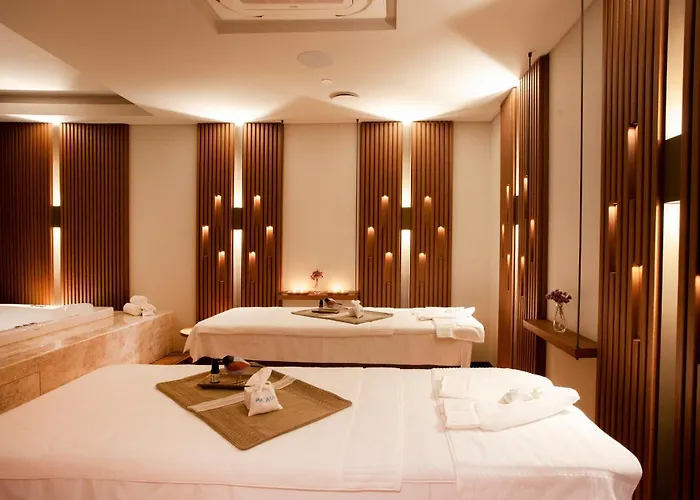 Palaia Hotell
