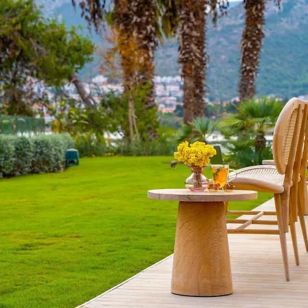 Отель Palaia Датча