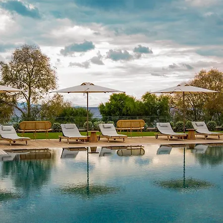 Otel Palaia