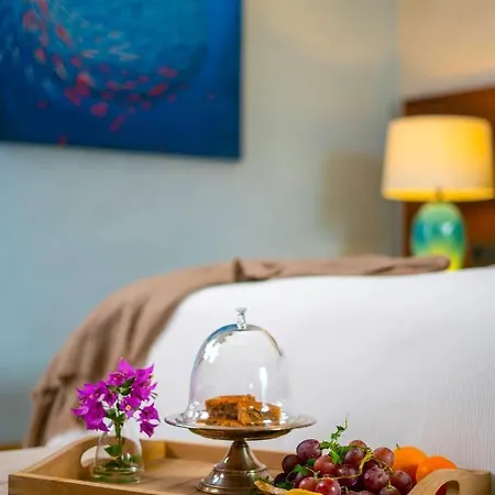 Palaia Hotel