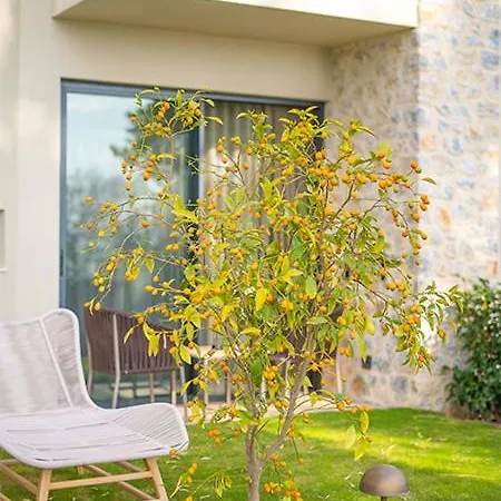 Palaia Hotel