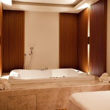 Palaia Отель Датча